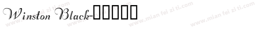 Winston Black字体转换